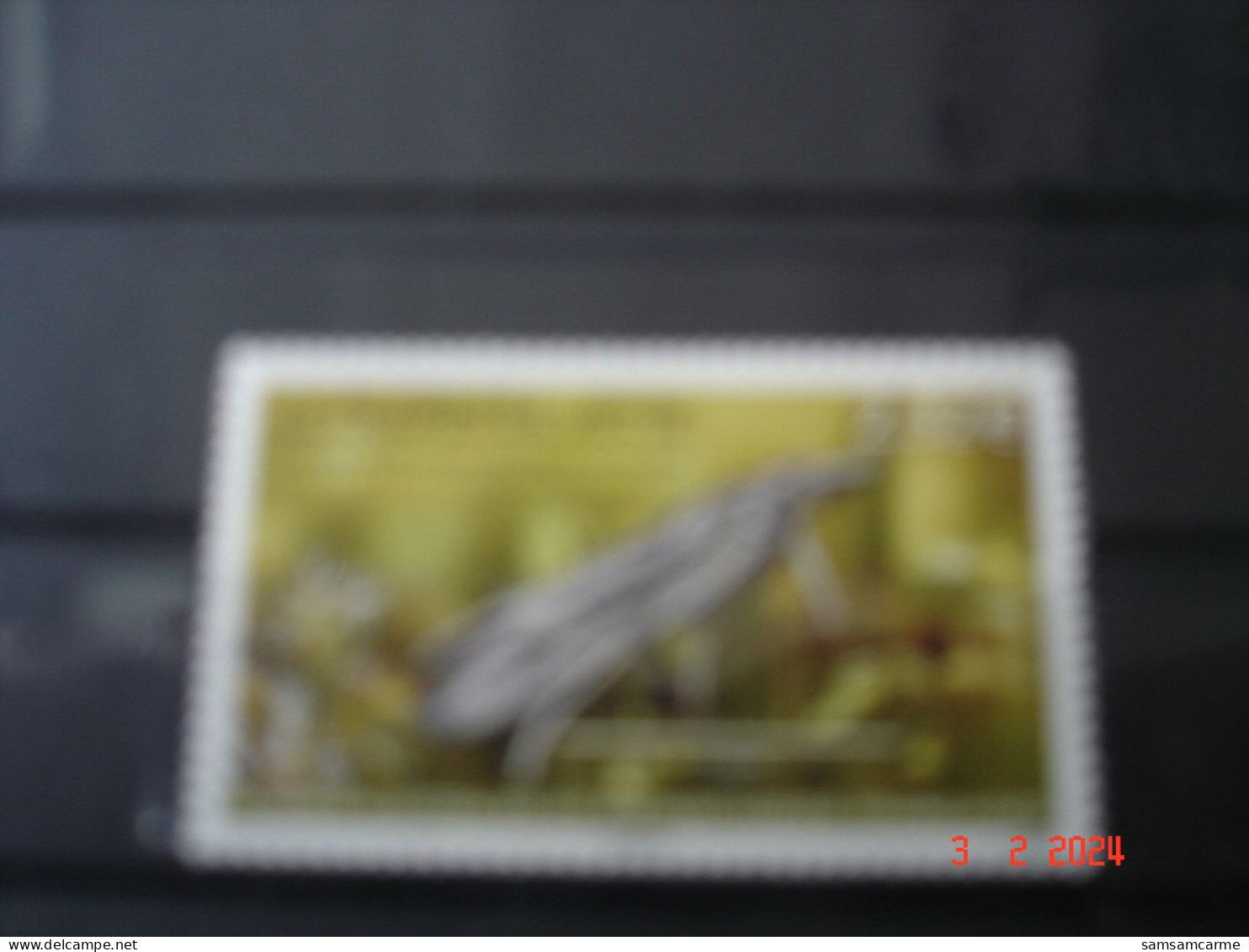 TAAF   ANNEE 2024    NEUF      LE CRAMBE DE VIETTE - Unused Stamps