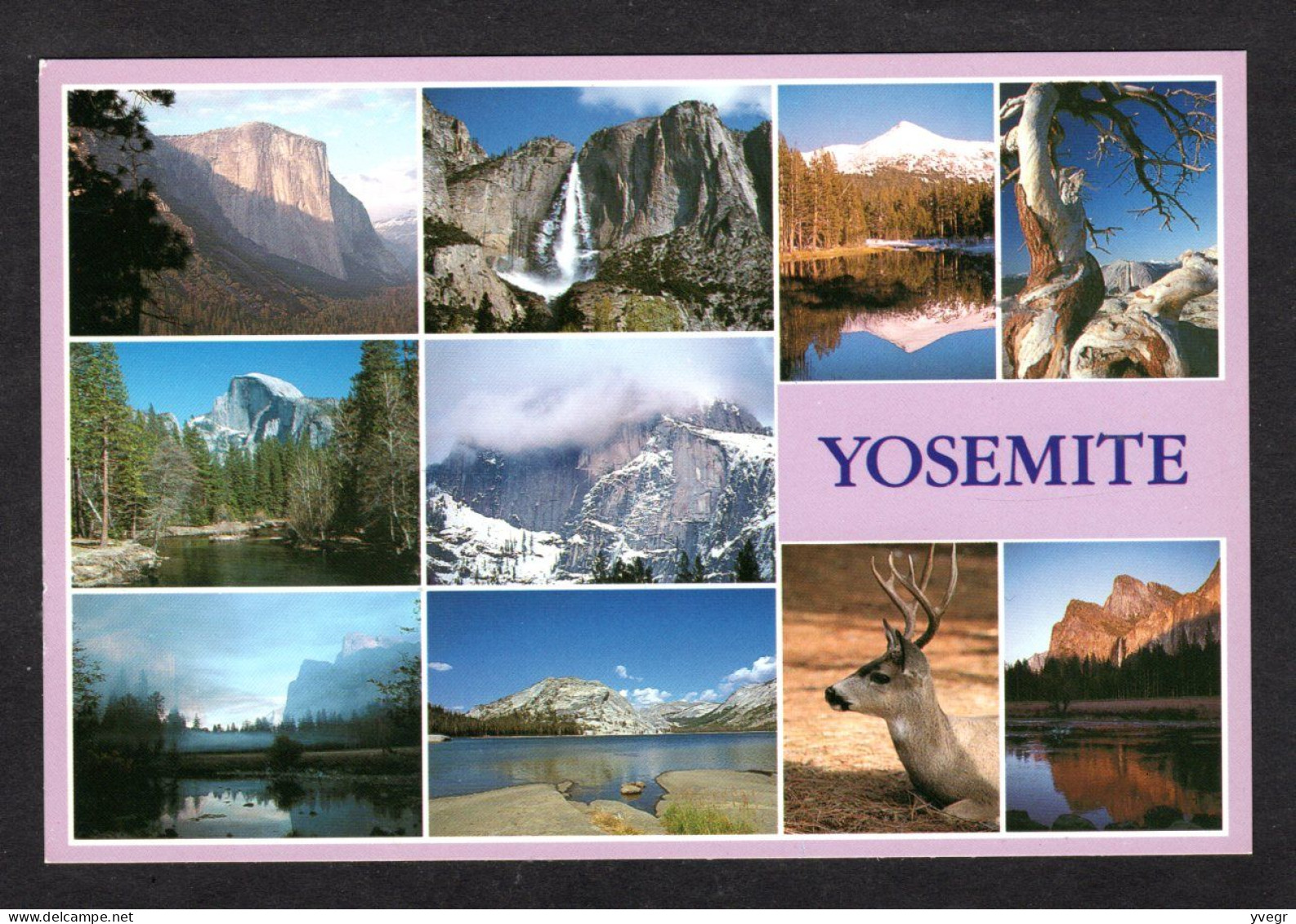 Etats Unis - YOSEMITE National Park Of The Sierra Nevada Mountains - Multi Vues - Yosemite