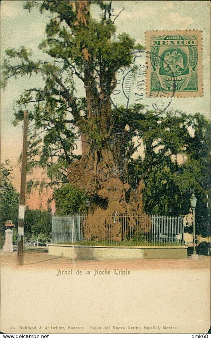 MEXICO - MEXICO CITY - ARBOL DE LA NOCHE TRISTE - EDIT RUHLAND & ALISCHIER - 1900s / STAMP  (17550) - Mexico