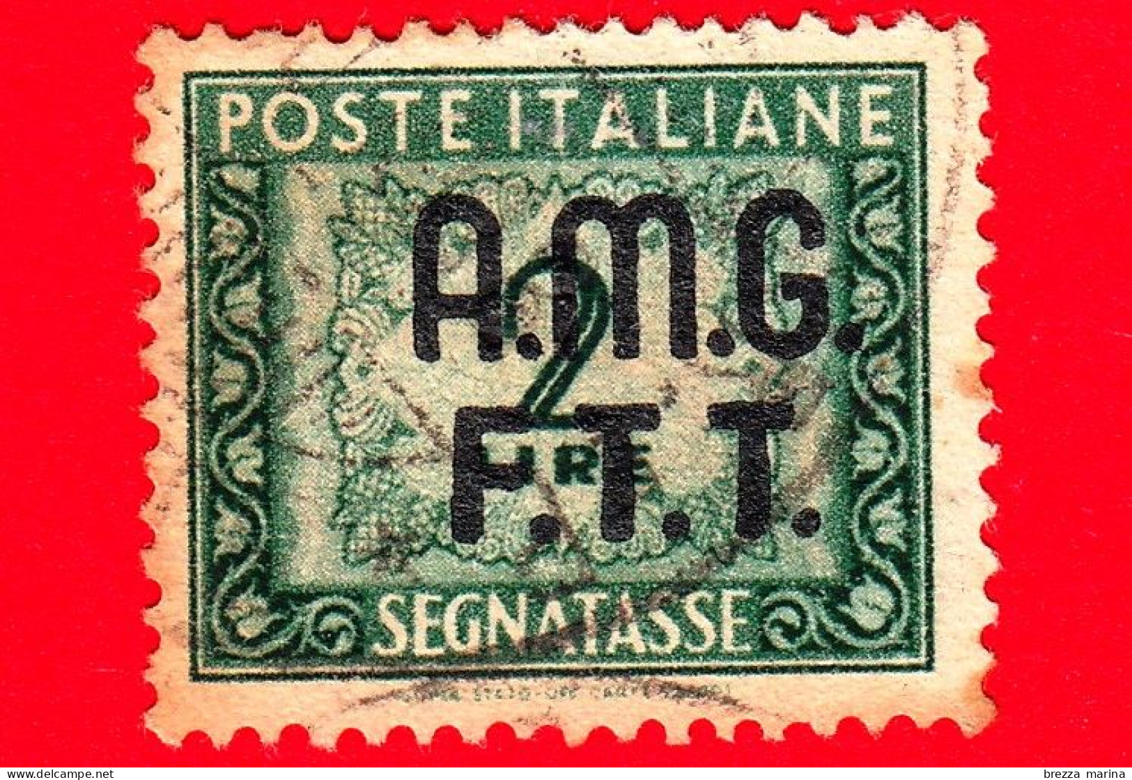 ITALIA - Trieste AMG FTT - Usato - 1949 - Cifra E Decorazioni, Sovrastampa Su Due Righe - Segnatasse - 2 L. - Used