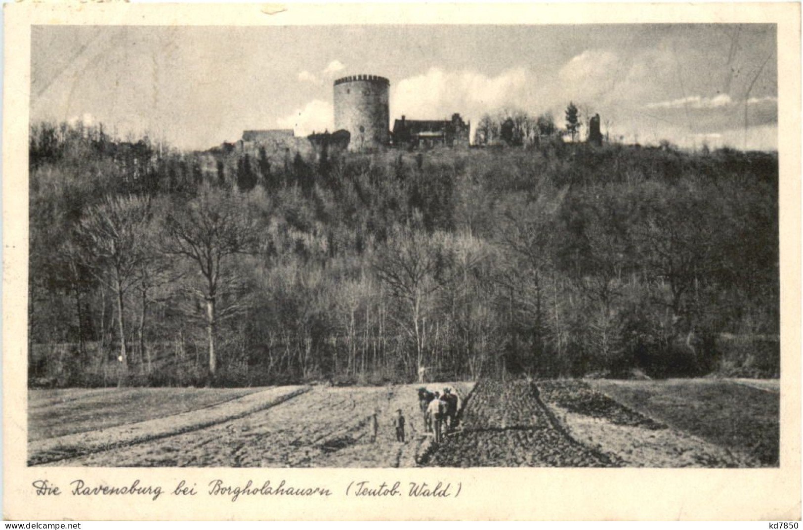Die Ravensburg Bei Borgholzhausen - Guetersloh