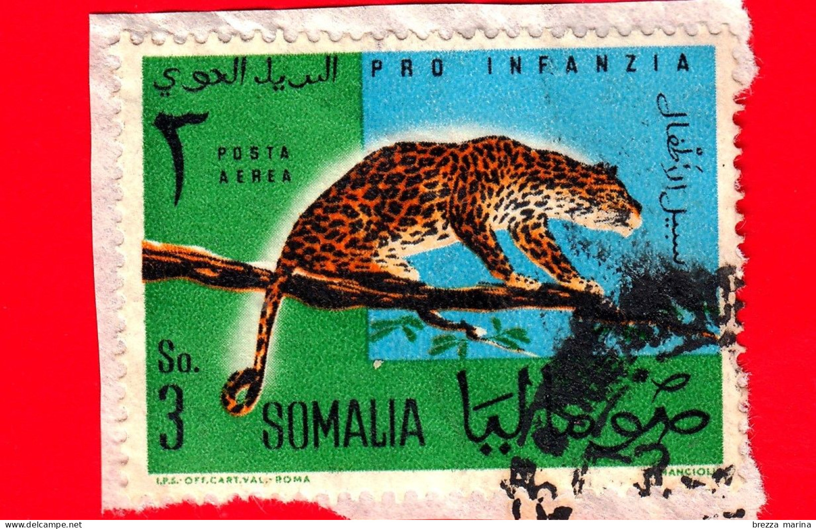 SOMALIA - Usato - 1960 - Anno Internazionale Del Bambino - Pro Infanzia - Leopardo - 3 - Posta Aerea - Somalia (1960-...)