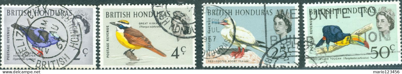 HONDURAS BRITANNICO, BRITISH HONDURAS, FAUNA, UCCELLI, BIRDS, 1962, FRANCOBOLLI USATI Scott:GB-BZ 168,170,174,175 - Brits-Honduras (...-1970)