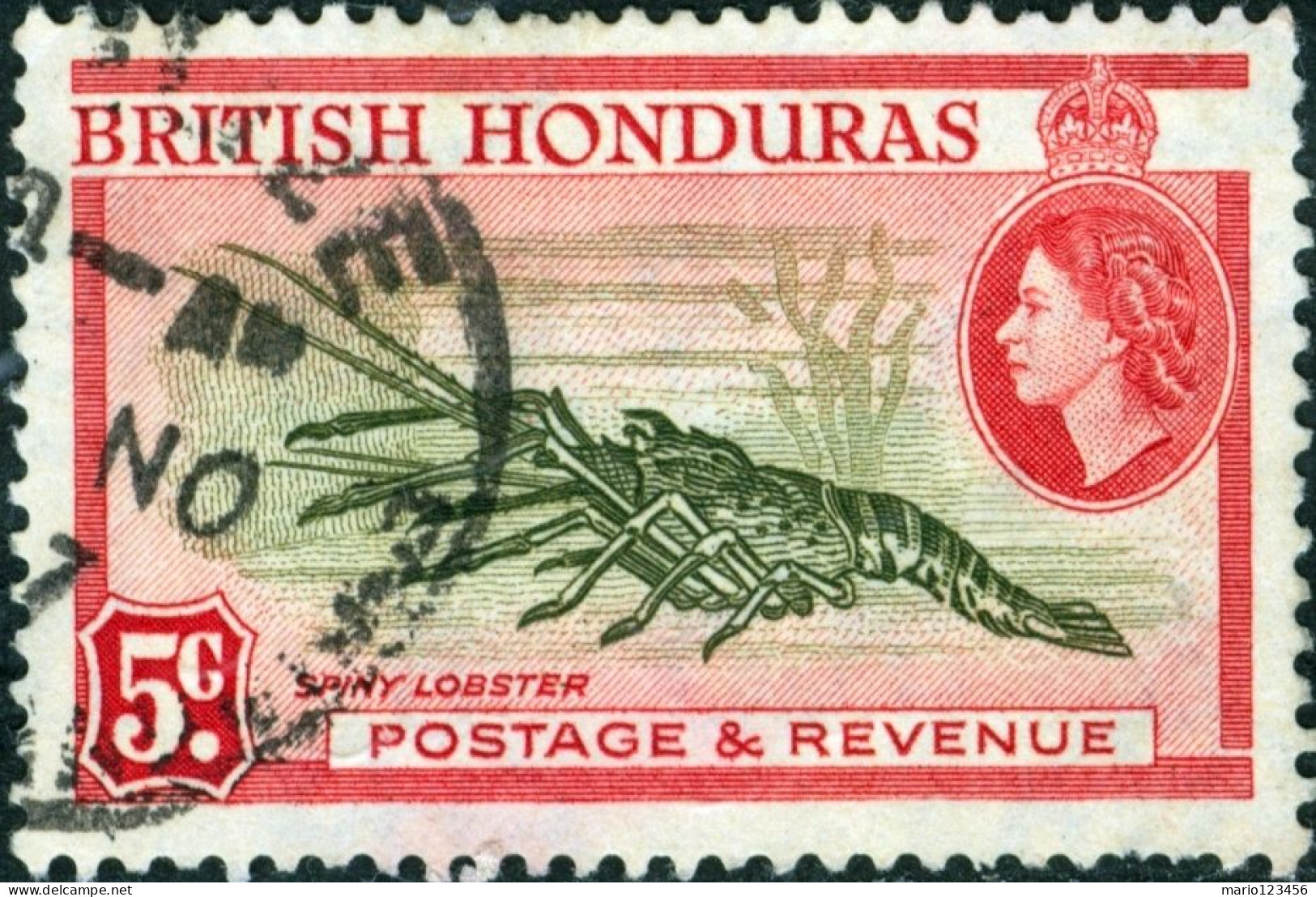 HONDURAS BRITANNICO, BRITISH HONDURAS, FAUNA, CROSTACEI, 1953, FRANCOBOLLI USATI Scott:GB-BZ 148a, Yt:GB-BZ 151 - Honduras Britannico (...-1970)