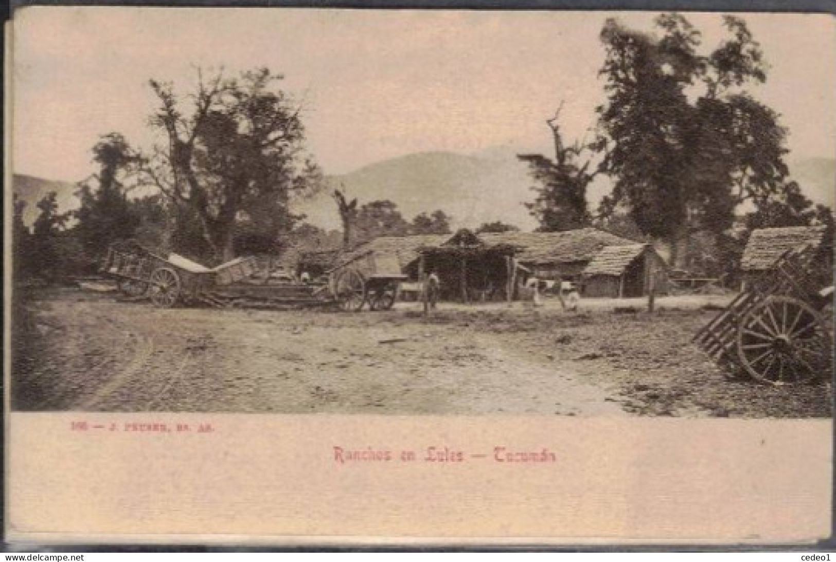 ARGENTINE  RANCHOS EN TULES  TUCUMAN - Argentine