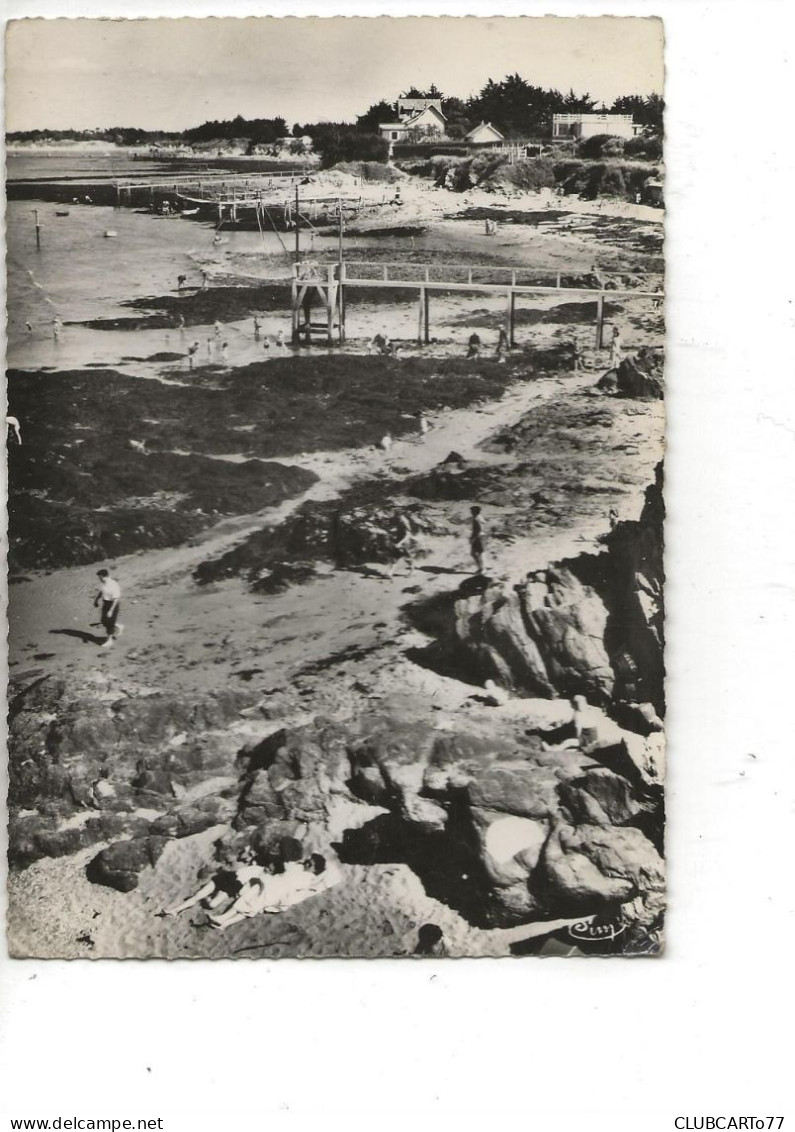 La Plaine-sur-Mer (44) : Le Port Giraud à Marée Basse En 1952 (animé) GF. - La-Plaine-sur-Mer