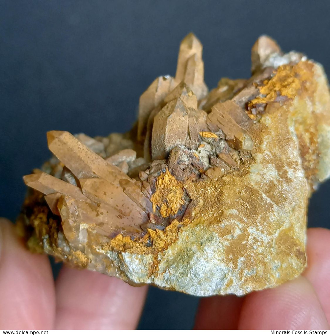 #U12 - Schöne Gruppe Von QUARZ Kristallen Mit Eisenoxiden (Val Bedretto, Schweiz) - Minerals