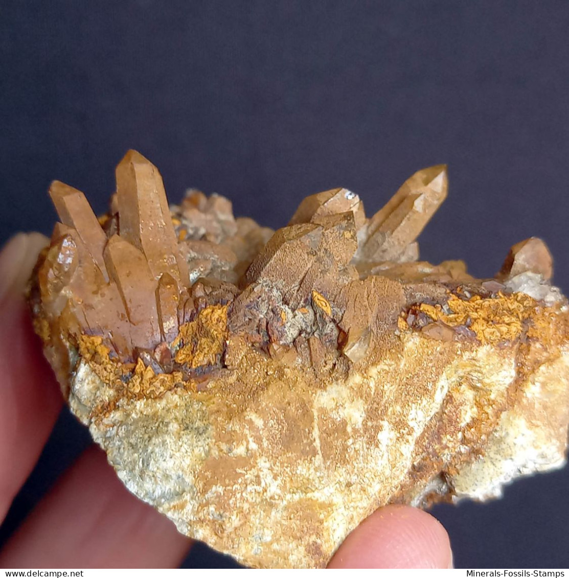 #U12 - Schöne Gruppe Von QUARZ Kristallen Mit Eisenoxiden (Val Bedretto, Schweiz) - Minerali