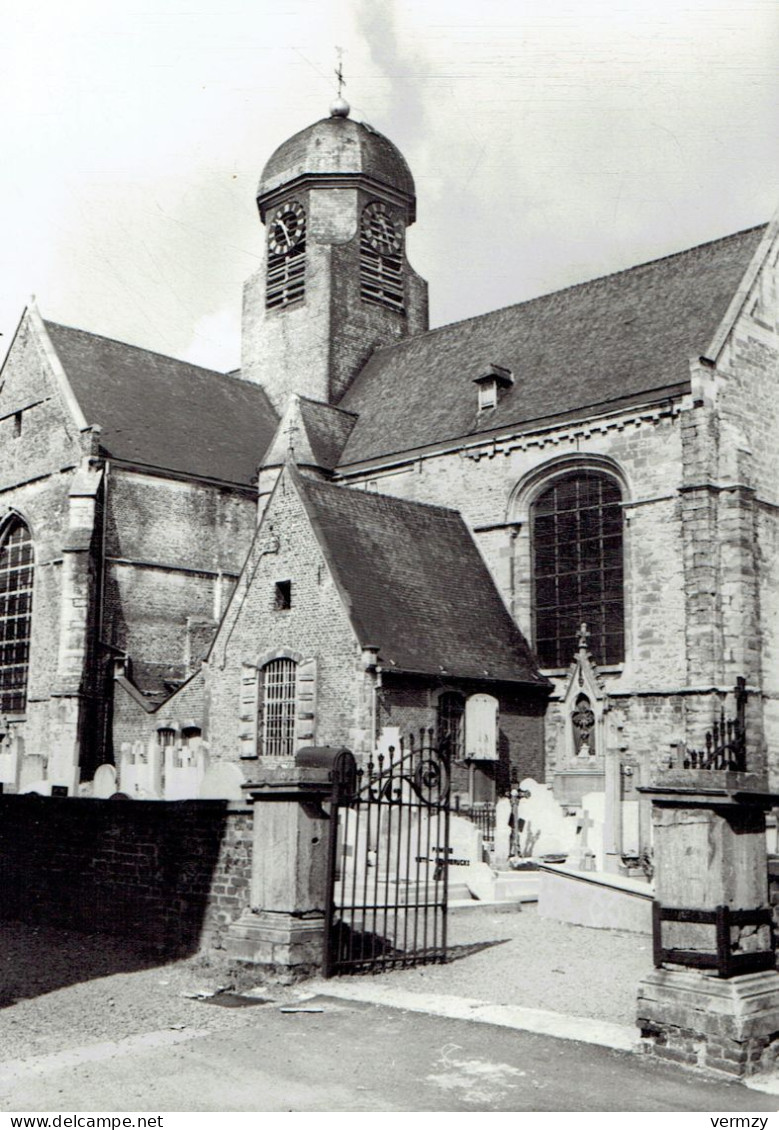 MEERNEKE : Achterkant V. D. Kerk - Photo Véritable - Ninove