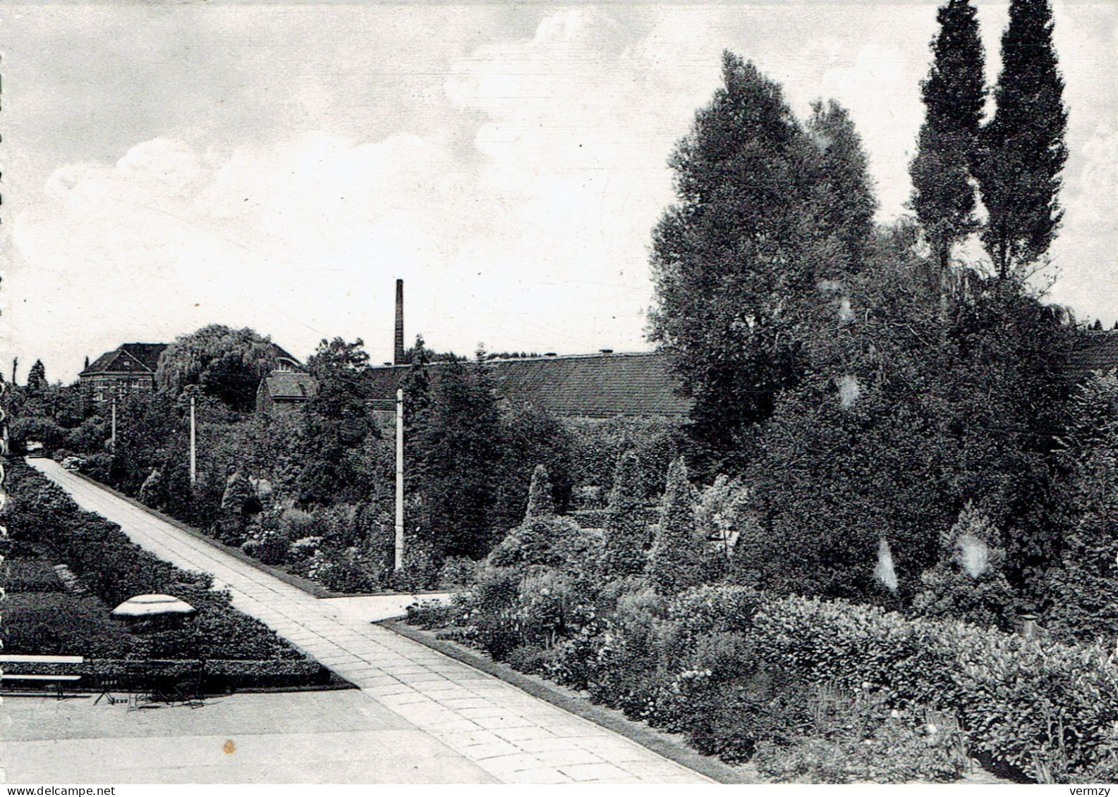 LOKEREN : Instituut Der Zusters Van Liefde - Tuin , Algemeen Zicht - Photo Véritable - Lokeren