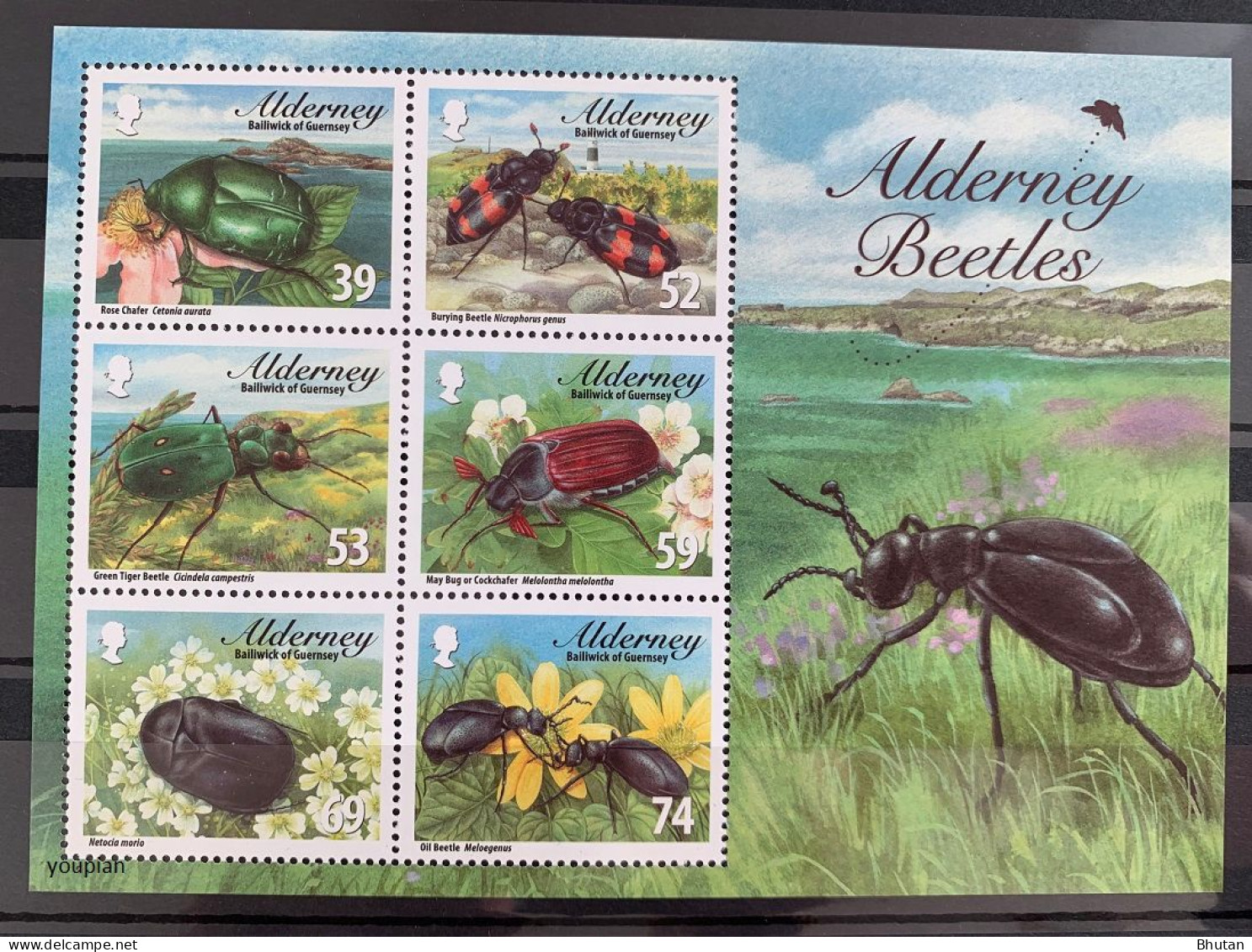 Alderney 2013, Alderney Beetles, MNH S/S - Alderney