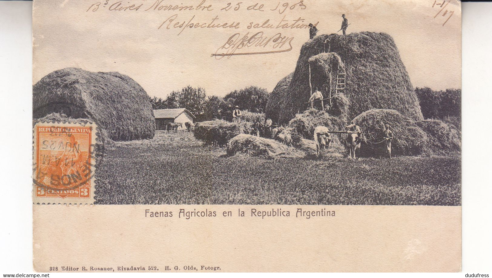 ARGENTINA FAENAS AGRICOLAS - Argentine