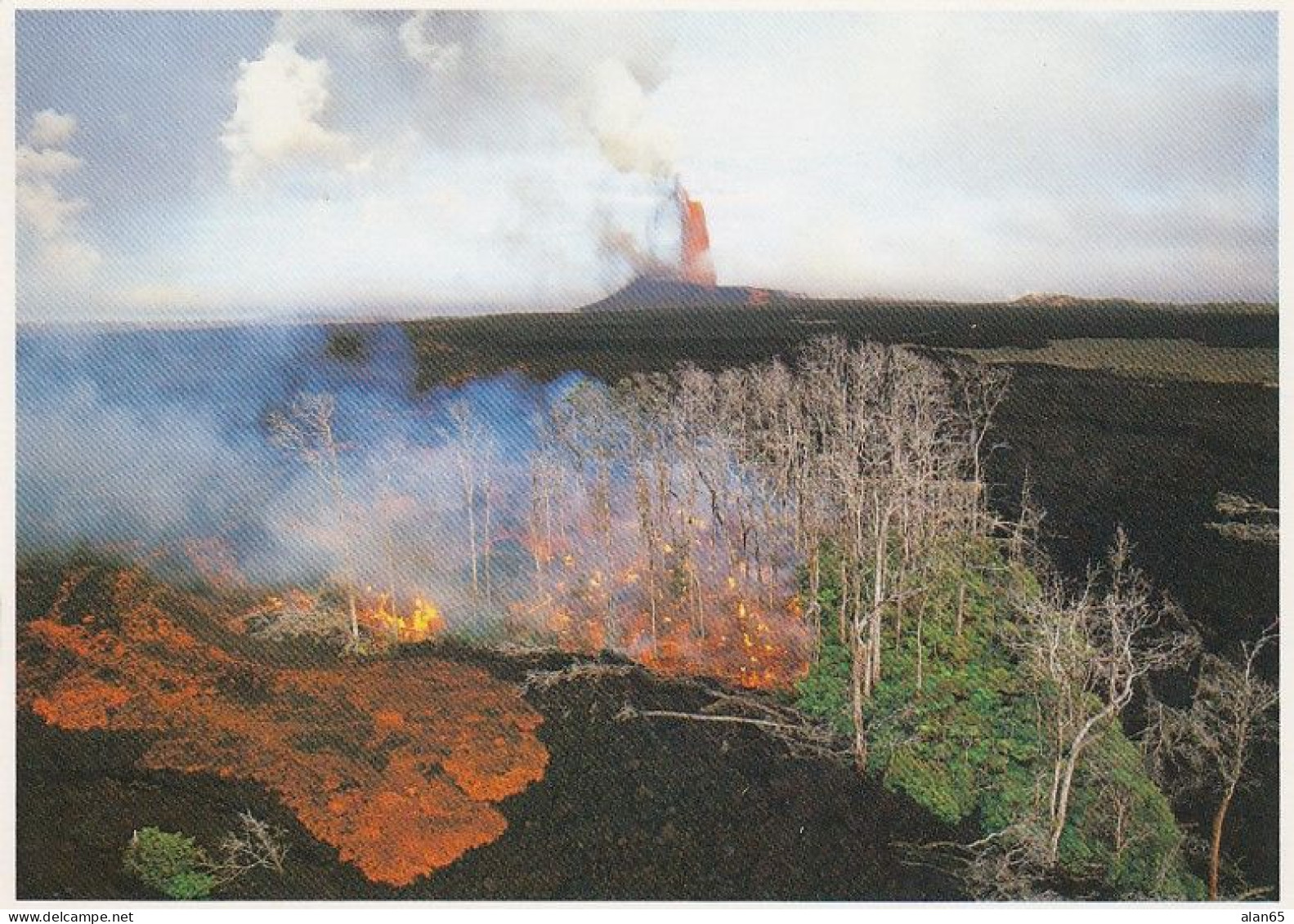 Big Island Of Hawaii, Hawaii Volcanoes National Park, Kiauea's Pu'u O'o Vent In Background, C1980s Vintage Postcard - Hawaï