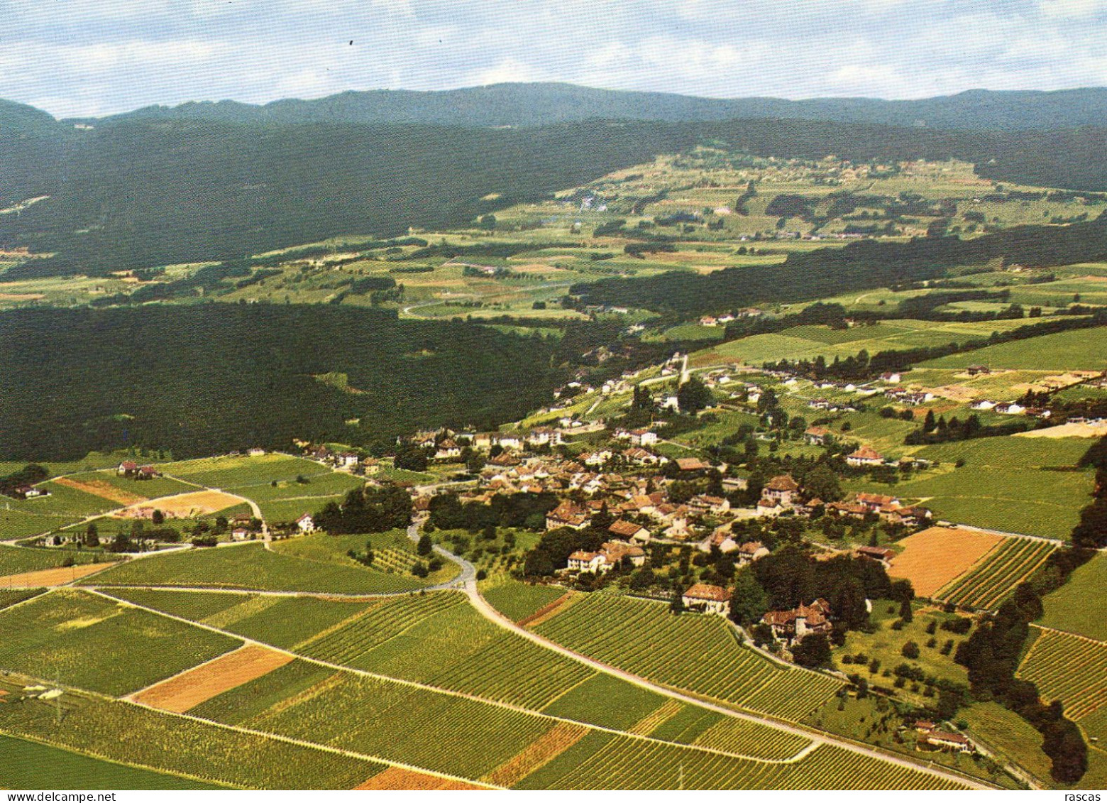 CPM - K - SUISSE - CANTON DE VAUD - BEGNINS - VUE GENERALE - Begnins