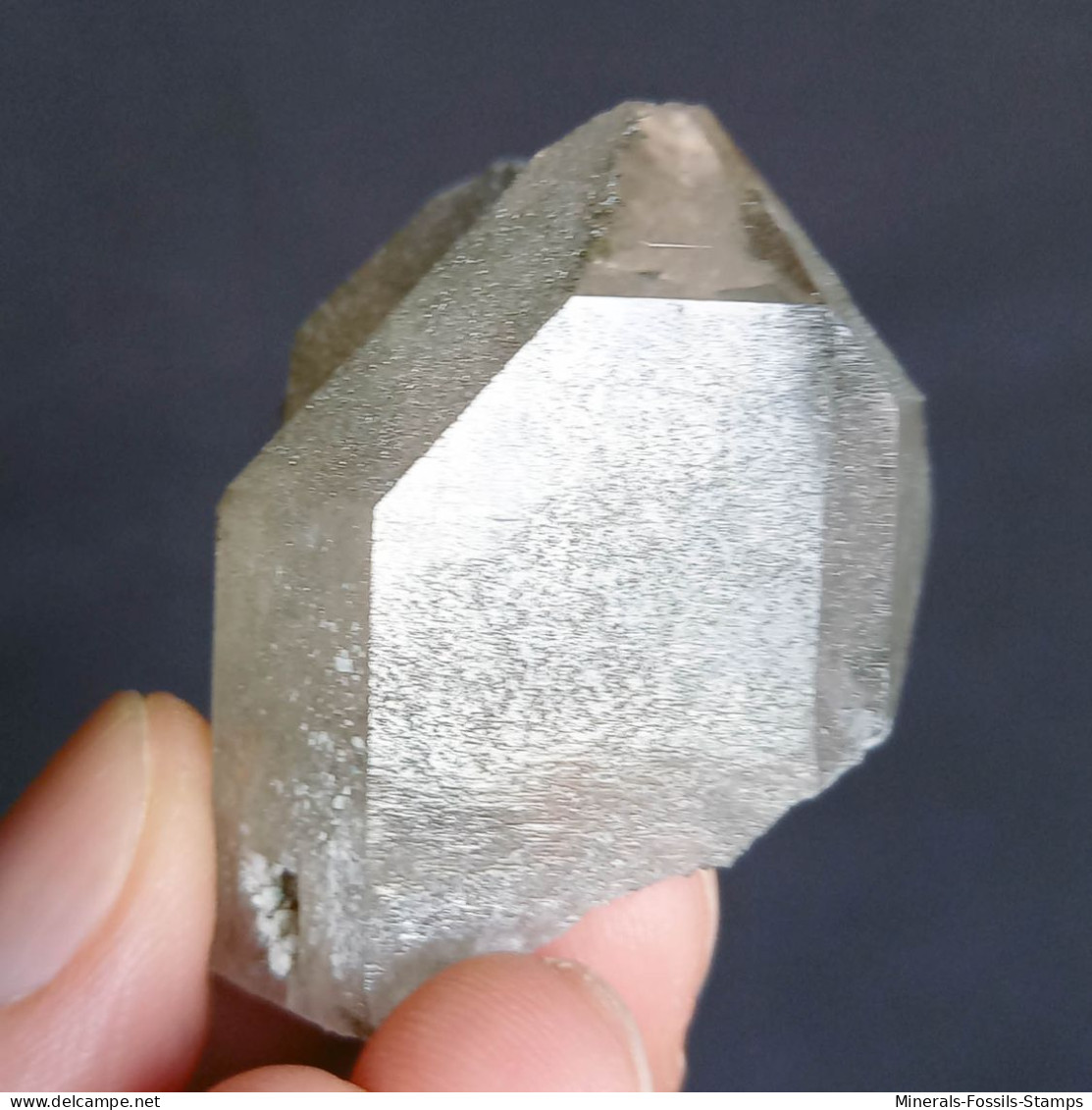 #U18 - Beau Cristal QUARTZ (Glacier Géant, Aoste, Italie) - Mineralien