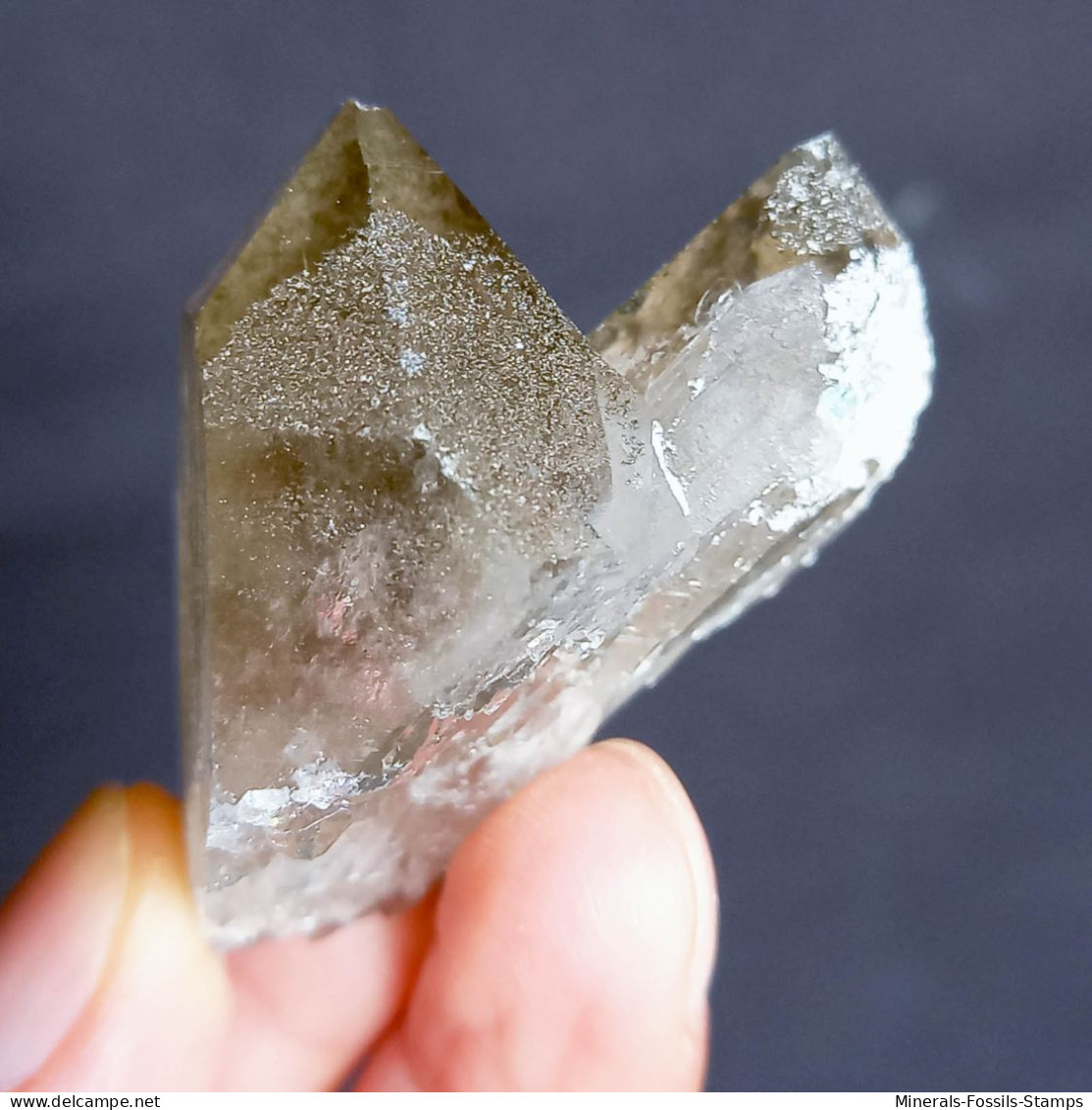 #U18 - Beau Cristal QUARTZ (Glacier Géant, Aoste, Italie) - Minéraux