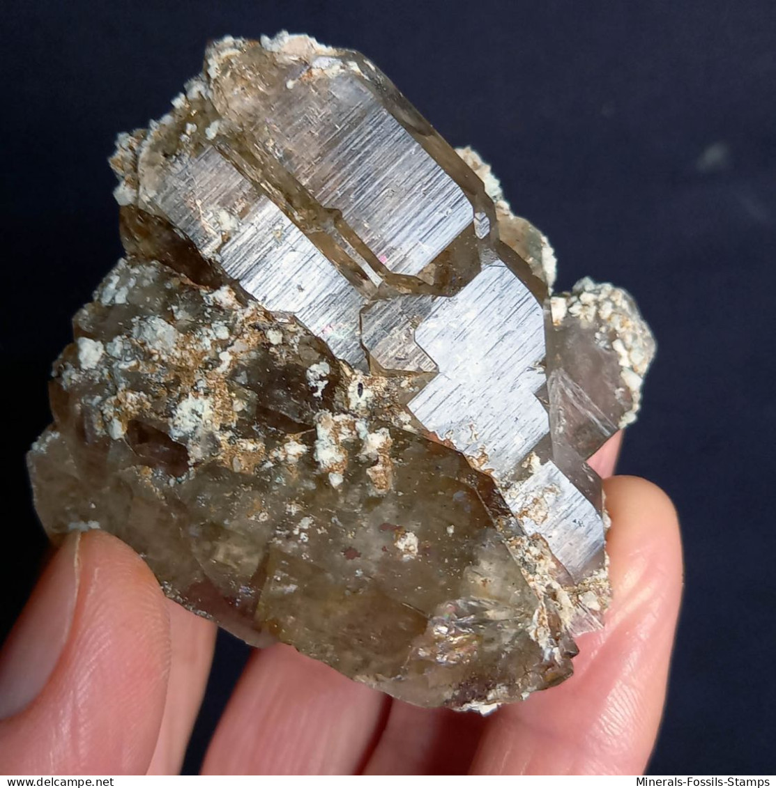 #U22 - Schöne Gruppe Von RAUCHQUARZ Kristallen (Val Bedretto, Schweiz) - Minerals