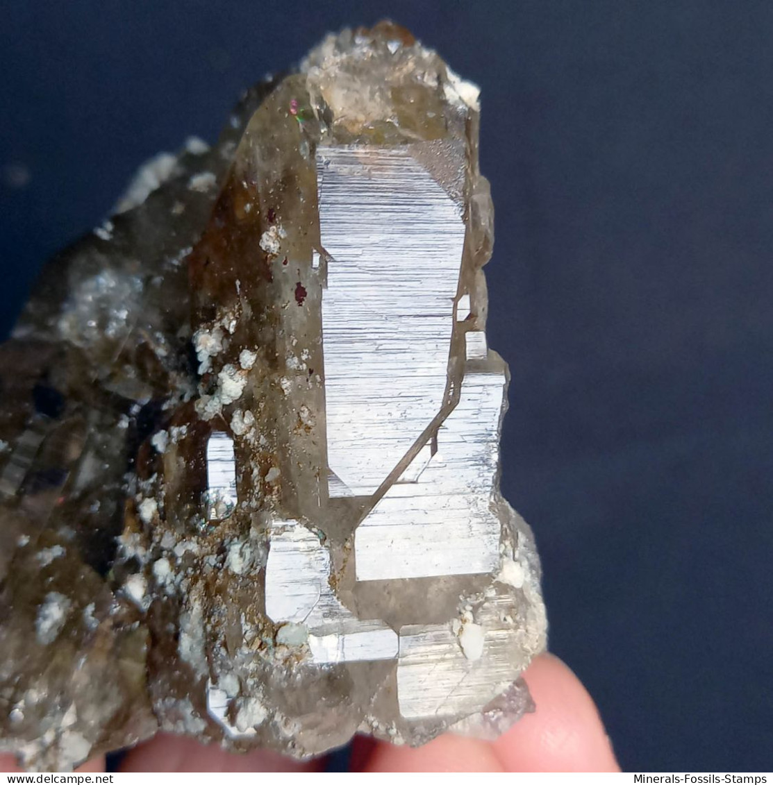 #U22 - Schöne Gruppe Von RAUCHQUARZ Kristallen (Val Bedretto, Schweiz) - Mineralen