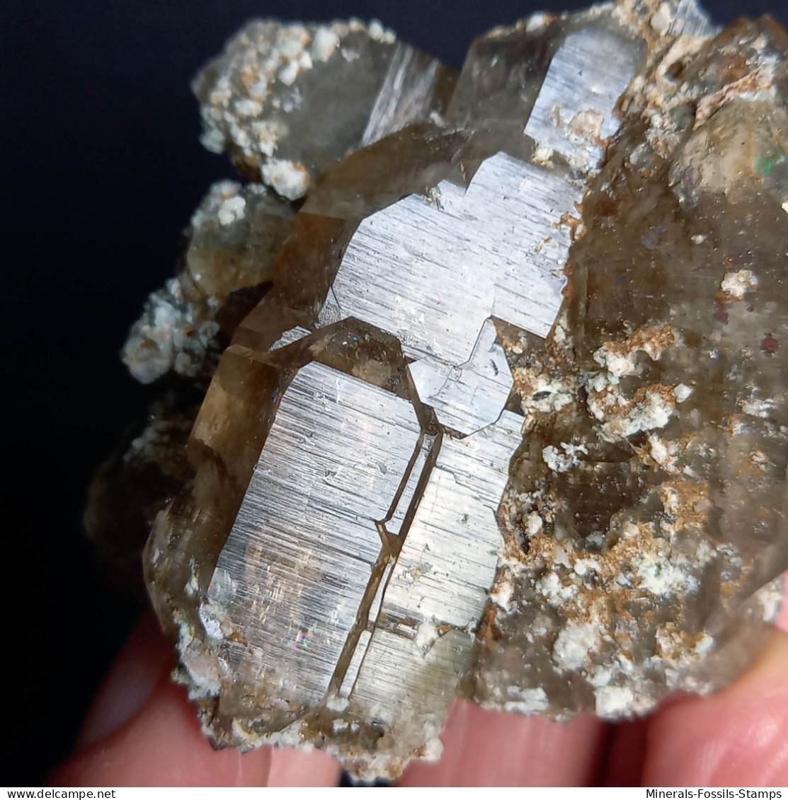 #U22 - Schöne Gruppe Von RAUCHQUARZ Kristallen (Val Bedretto, Schweiz) - Minerales