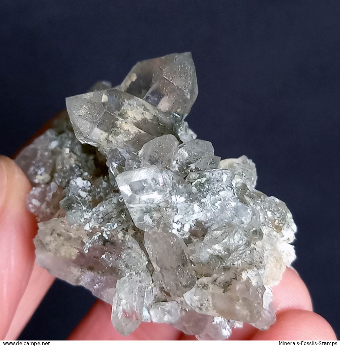 #U24 – Schöne QUARZ Kristall (Riesengletscher, Aosta, Italien) - Minerals