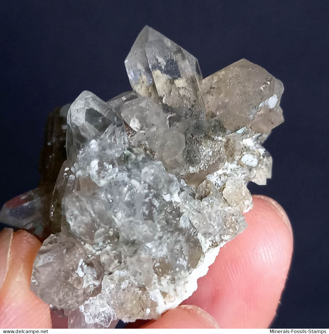 #U24 – Schöne QUARZ Kristall (Riesengletscher, Aosta, Italien) - Minerals