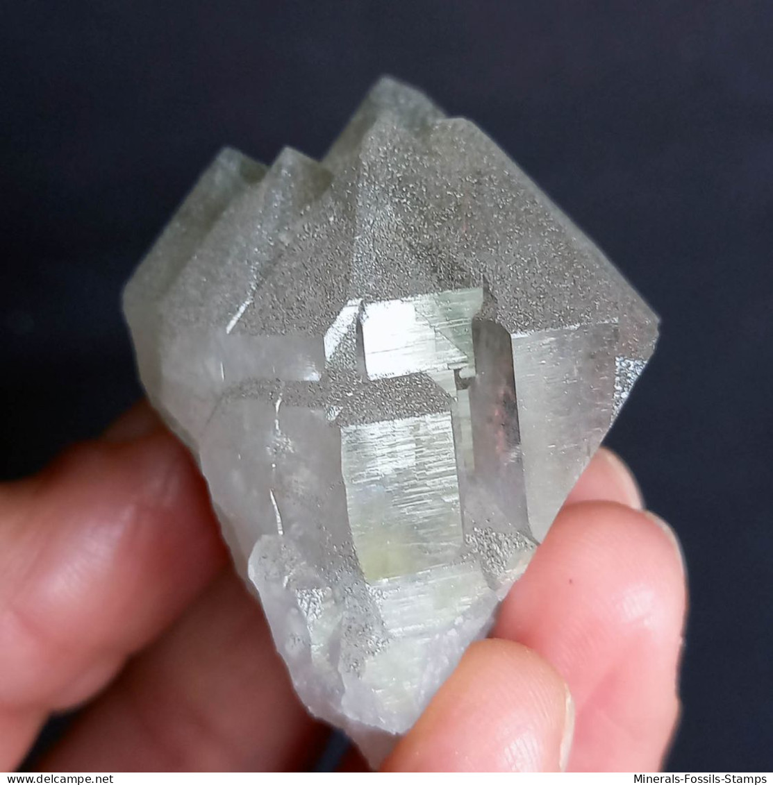 #U26 - Beau Cristal QUARTZ (Glacier Géant, Aoste, Italie) - Minéraux