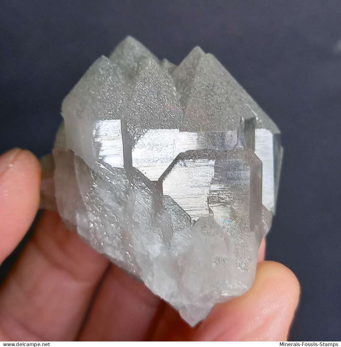 #U26 - Beau Cristal QUARTZ (Glacier Géant, Aoste, Italie) - Mineralien