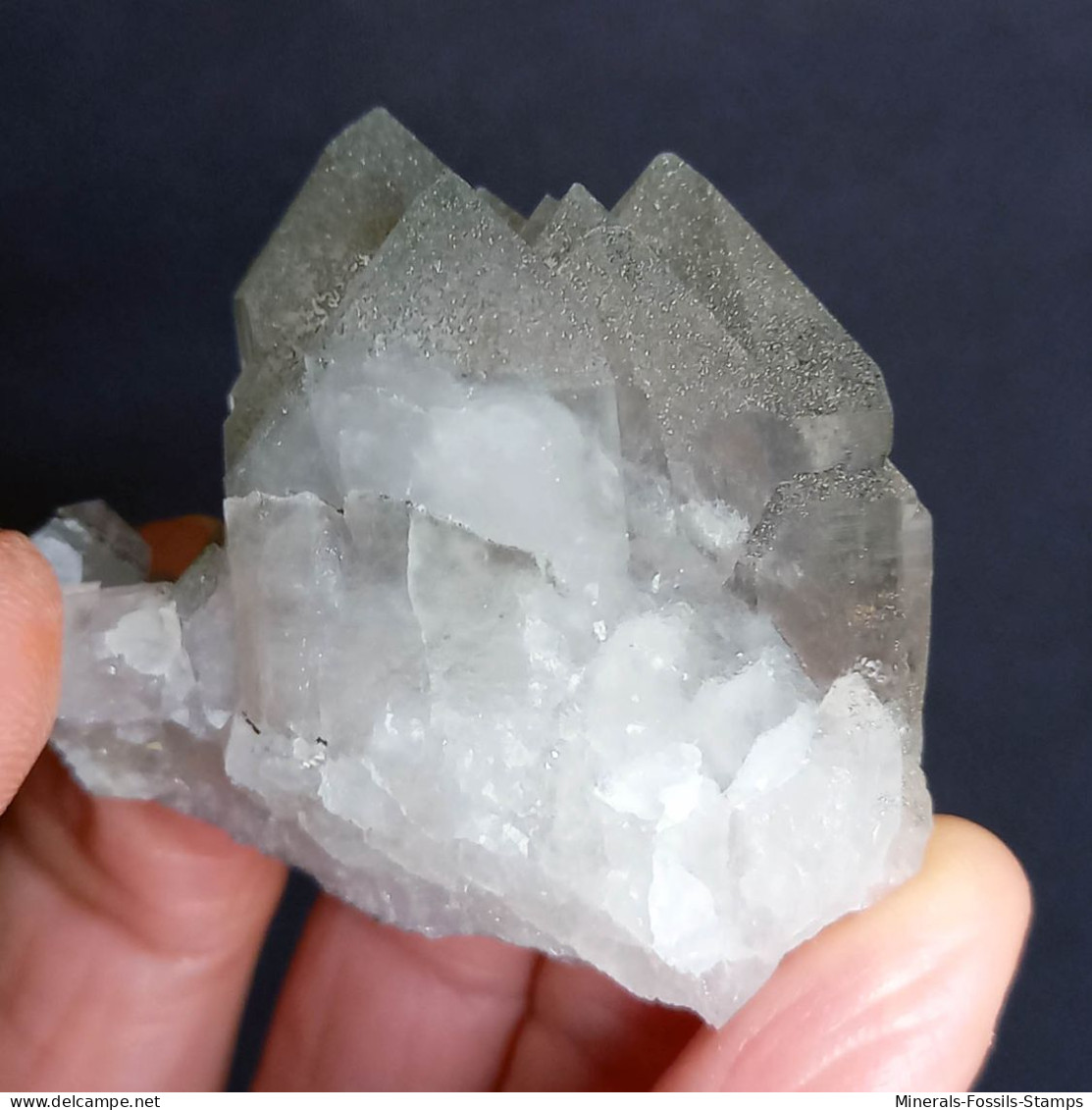 #U26 - Beau Cristal QUARTZ (Glacier Géant, Aoste, Italie) - Minéraux