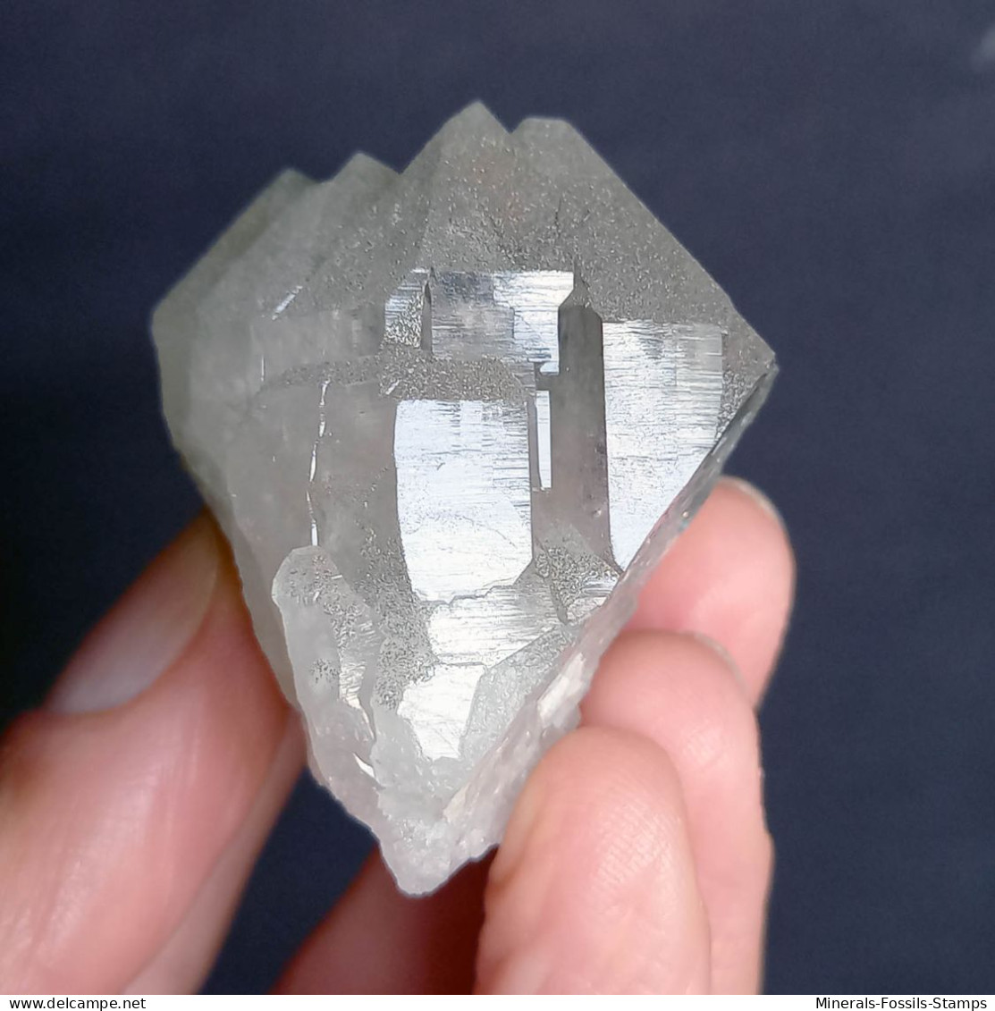 #U26 - Beau Cristal QUARTZ (Glacier Géant, Aoste, Italie) - Minéraux