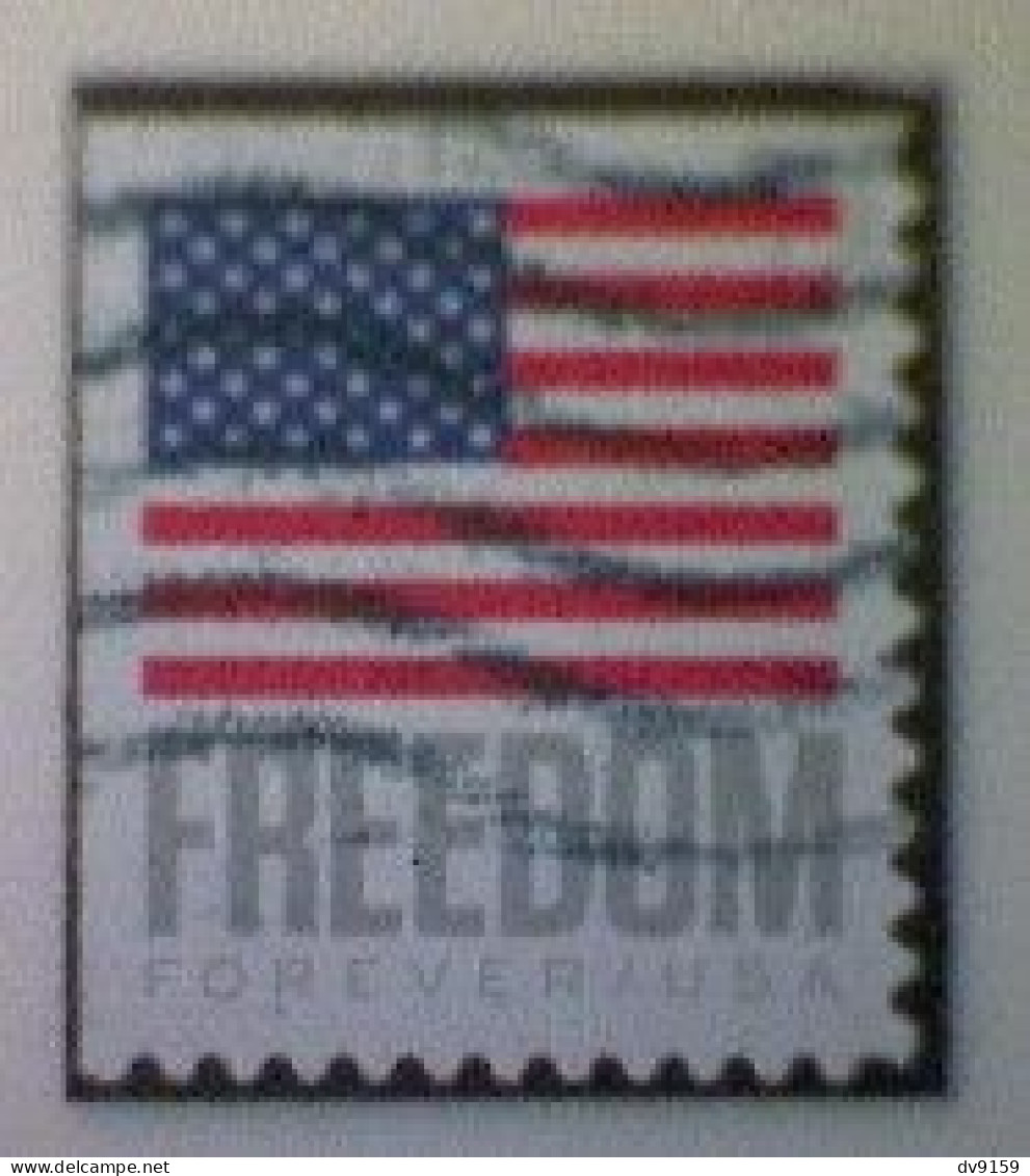 United States, Scott #5790, Used(o) Booklet, 2023, Flag Definitive: Freedom Flag, (63¢) Forever - Usados