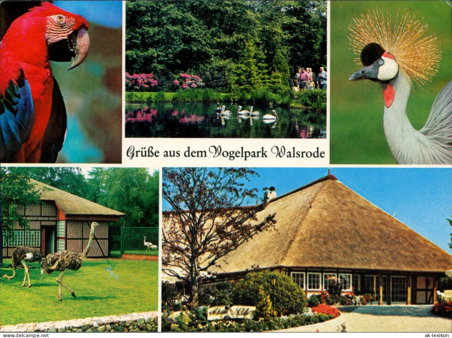 Ansichtskarte Walsrode Grüße Aus Dem Vogelpark 1990 - Walsrode