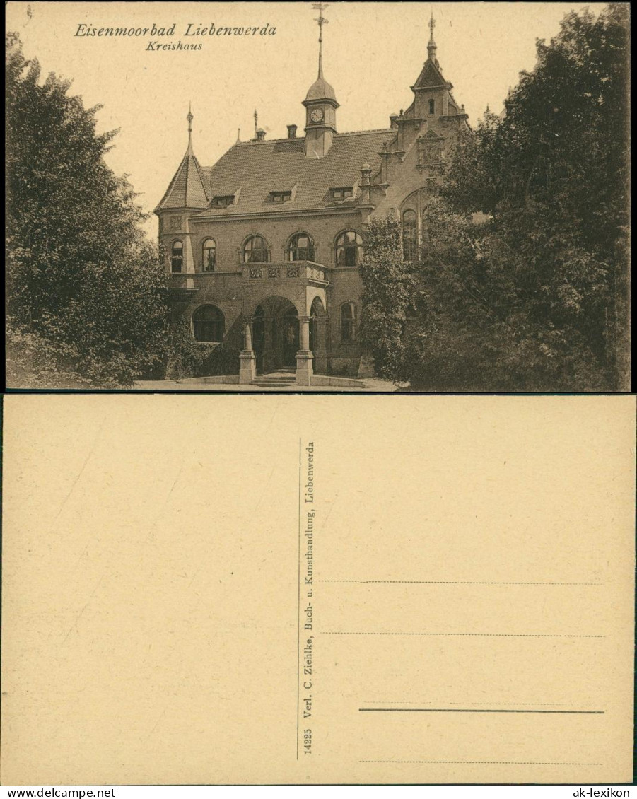 Ansichtskarte Bad Liebenwerda Eisenmoorbad Kreishaus 1918 - Bad Liebenwerda