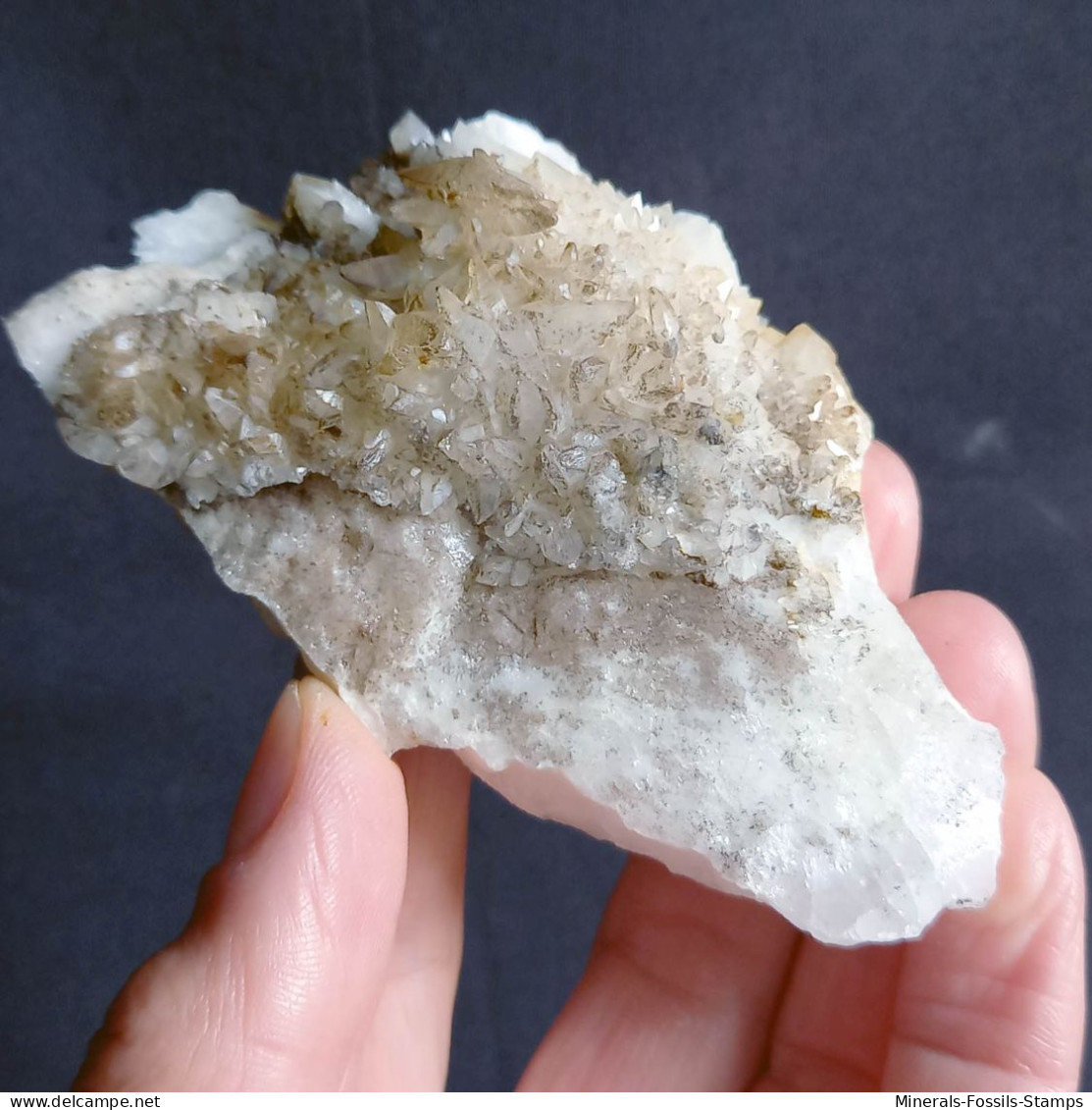 #V45 - Curioso Gruppo CALCITE Cristalli (Val Bedretto, Svizzera) - Minerals