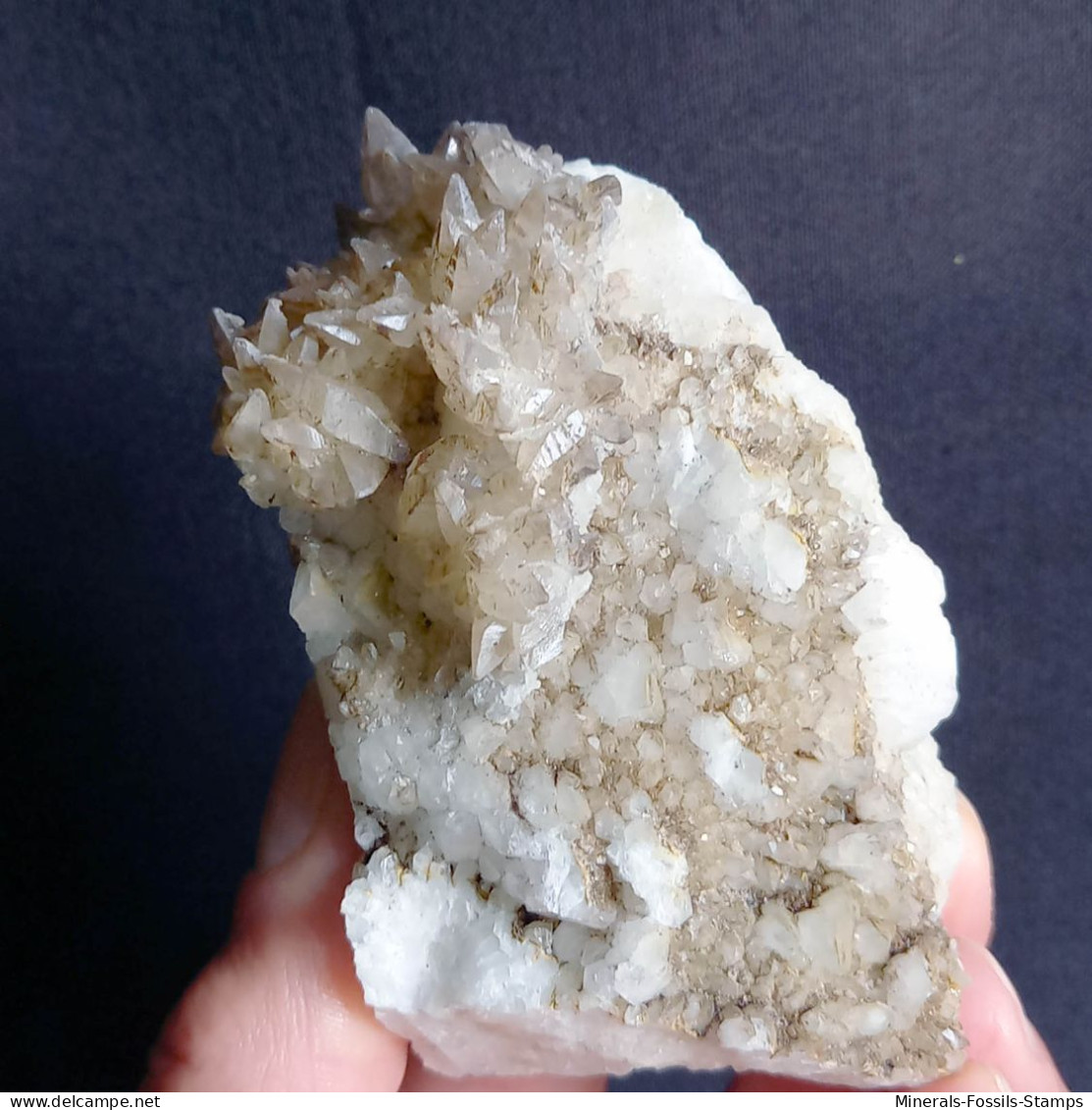 #V46 - Curioso Gruppo CALCITE Cristalli (Val Bedretto, Svizzera) - Minerals