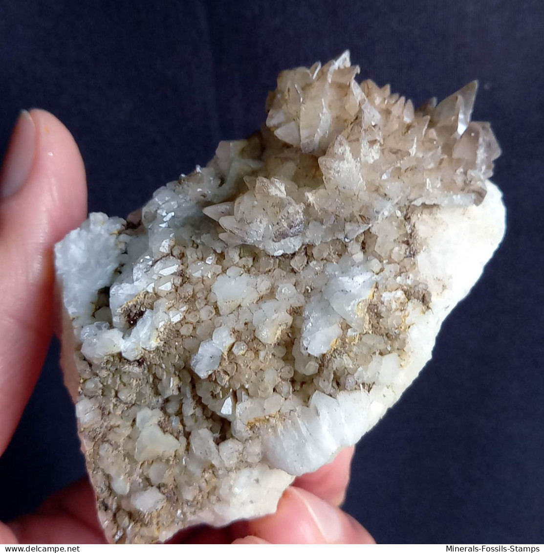 #V46 - Curioso Gruppo CALCITE Cristalli (Val Bedretto, Svizzera) - Minerals