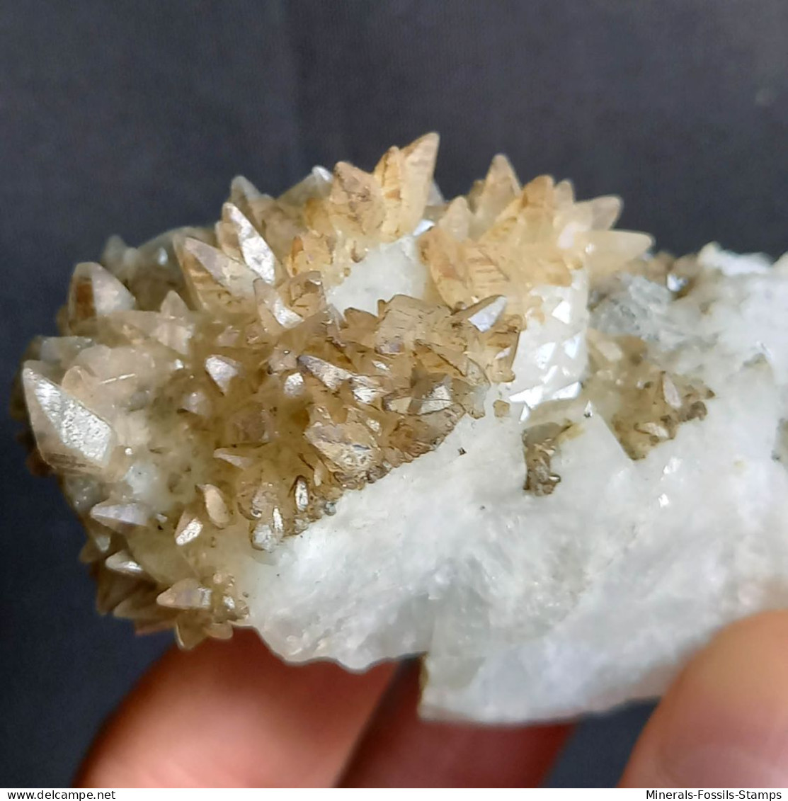 #V46 - Curioso Gruppo CALCITE Cristalli (Val Bedretto, Svizzera) - Minéraux