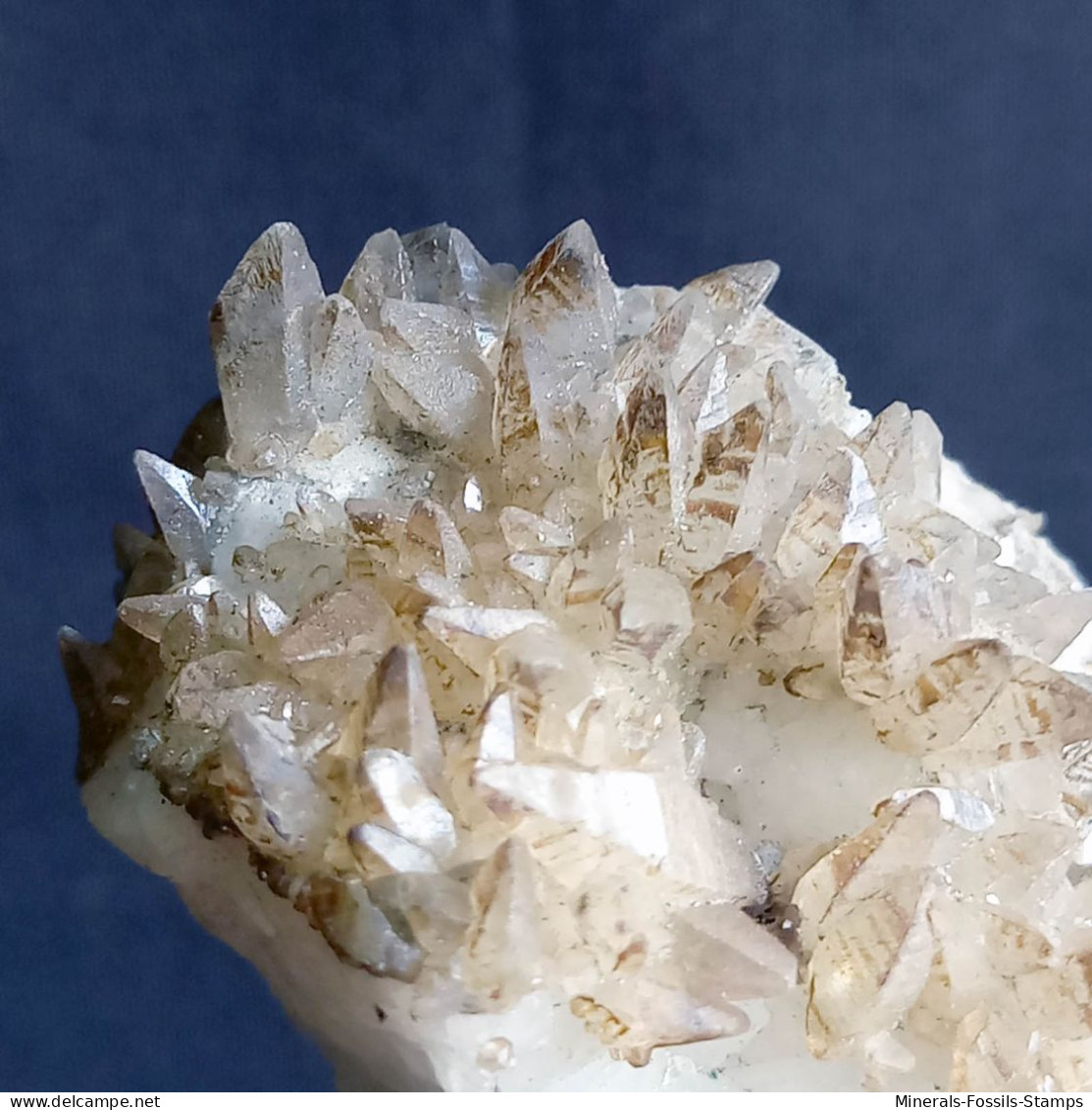 #V46 - Curioso Gruppo CALCITE Cristalli (Val Bedretto, Svizzera) - Minerals