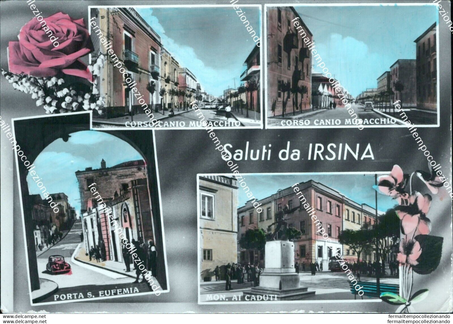 Cf621 Cartolina Saluti Da Irsina Provincia Di Matera Basilicata - Matera
