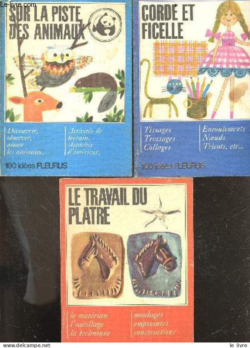 Lot De 3 Volumes : Corde Et Ficelle + Sur La Piste Des Animaux + Le Travail Du Platre - Activites De Terrain Et D'interi - Interieurdecoratie