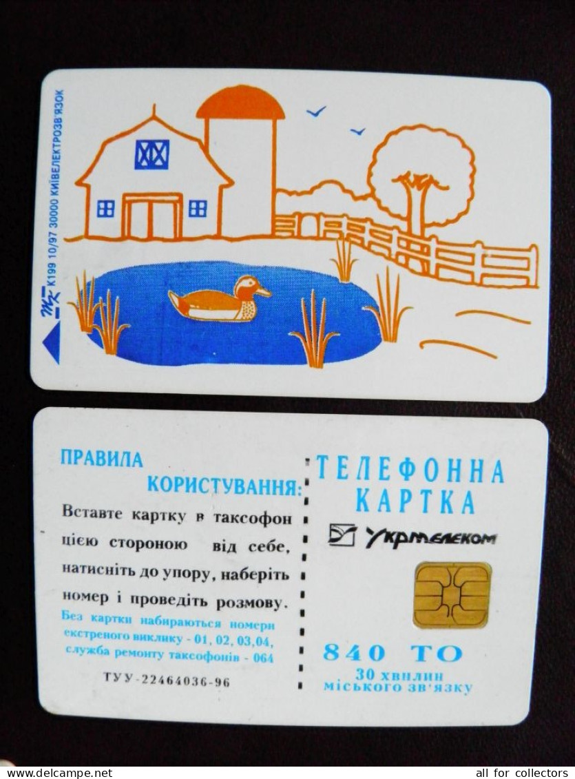 Ukraine Phonecard Chip Animals Bird Oiseau Duck 840 Units K199 10/97 30,000ex. - Ucrania