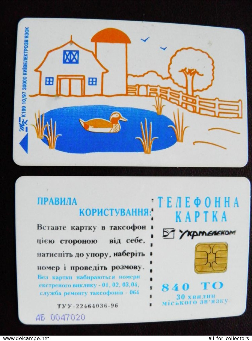 Ukraine Phonecard Chip Animals Bird Oiseau Duck 840 Units K199 10/97 30,000ex. Prefix Nr. AB (in Cyrrlic) - Ukraine