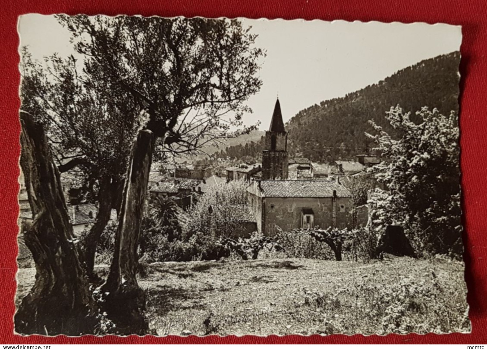 CPSM Grand Format - Bargemon -(Var) - Vue Générale - Bargemon