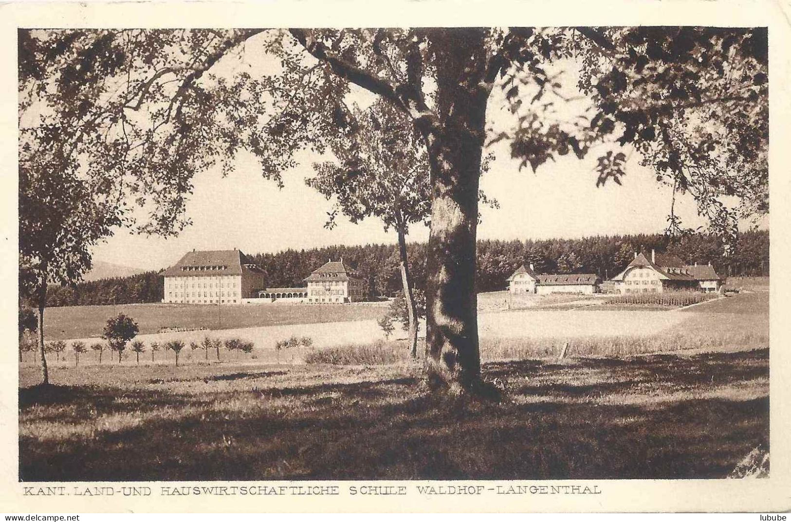 Langenthal - Kant. Land-/Hauswirtschaftsschule Waldhof        1929 - Langenthal