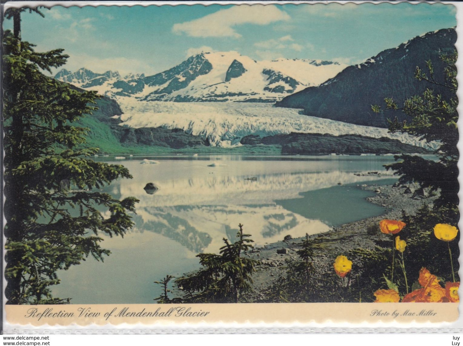 ALASKA  MENDENHALL GLACIER  REFLECTION VIEW  NEAR JUNEAU - Used, Gletscher - Juneau