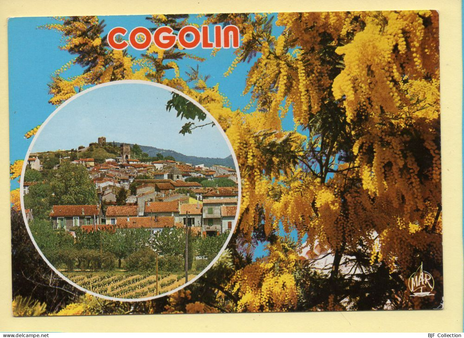 83. Souvenir De COGOLIN – Mimosas (voir Scan Recto/verso) - Cogolin
