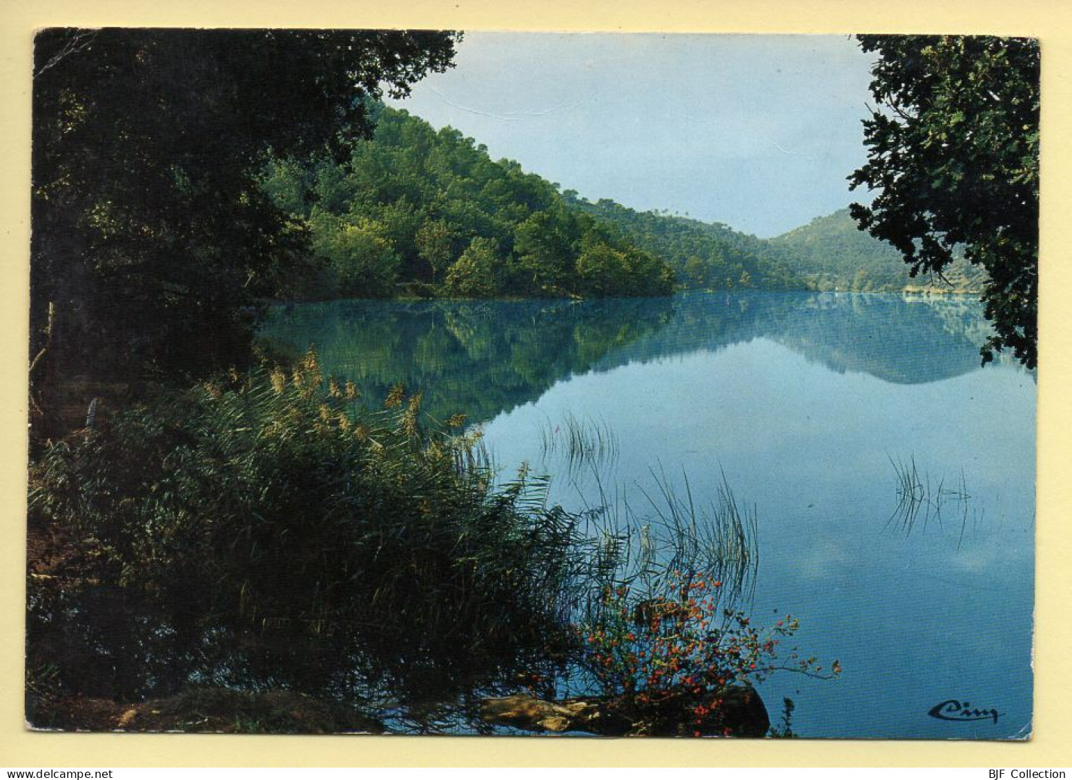 83. CARCES – Le Lac, Rendez-vous Des Pêcheurs Et Des Flâneurs (voir Scan Recto/verso) - Carces