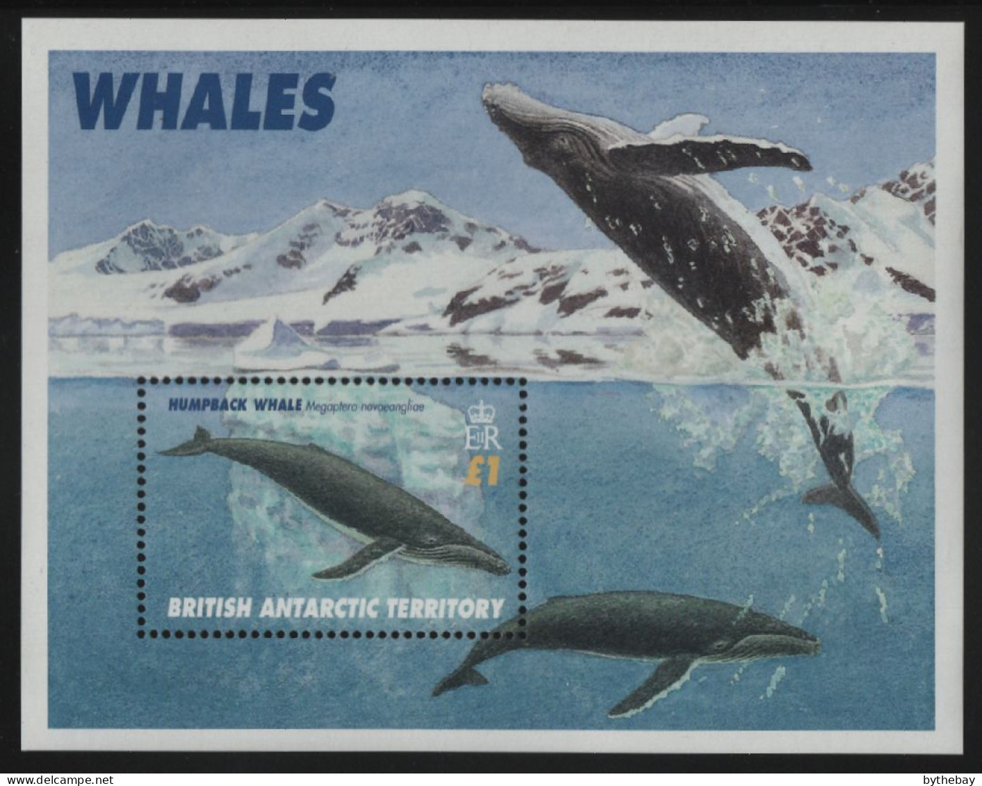 British Antarctic Territory 1996 MNH Sc 248 1pd Humpback Whale - Ungebraucht