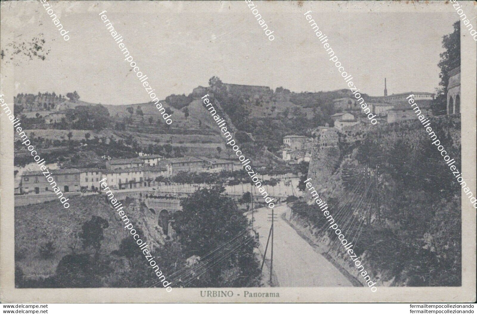 Cg52 Cartolina Urbino Panorama Marche 1920 - Urbino