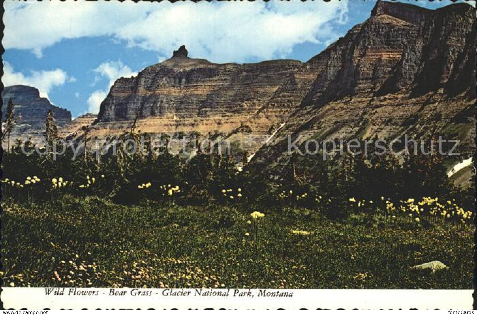 72349663 Montana_US-State Glacier National Park  - Other & Unclassified