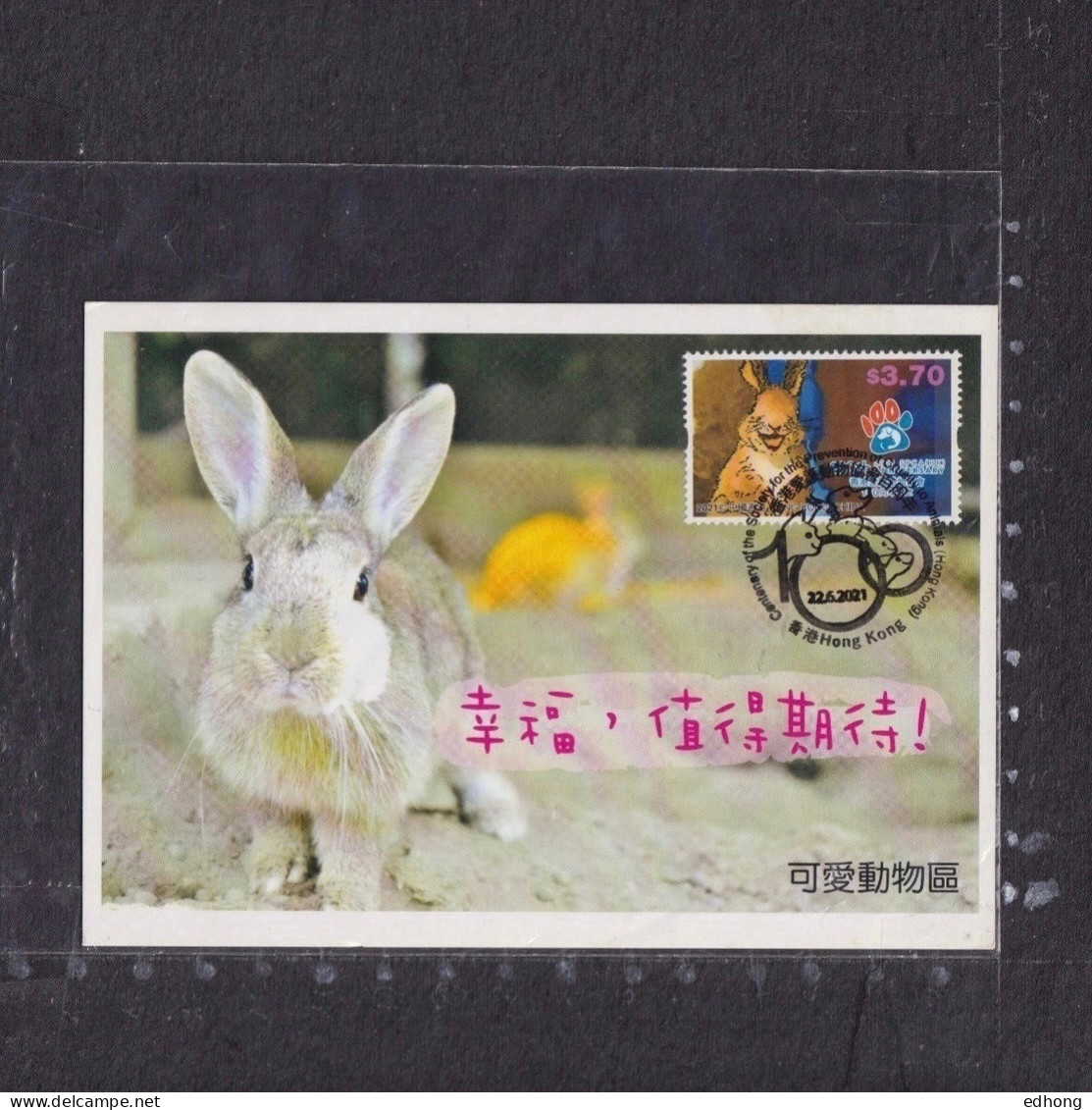 [Carte Maximum / Maximum Card /  Maximumkarte] Hong Kong 2021 | 100th Anniversary Of SPCA (Hong Kong) - Rabbit - Rabbits